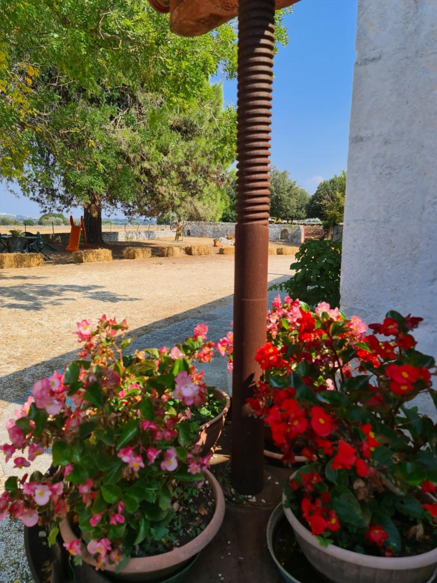 Masseria Gianca Cisternino Esterno foto