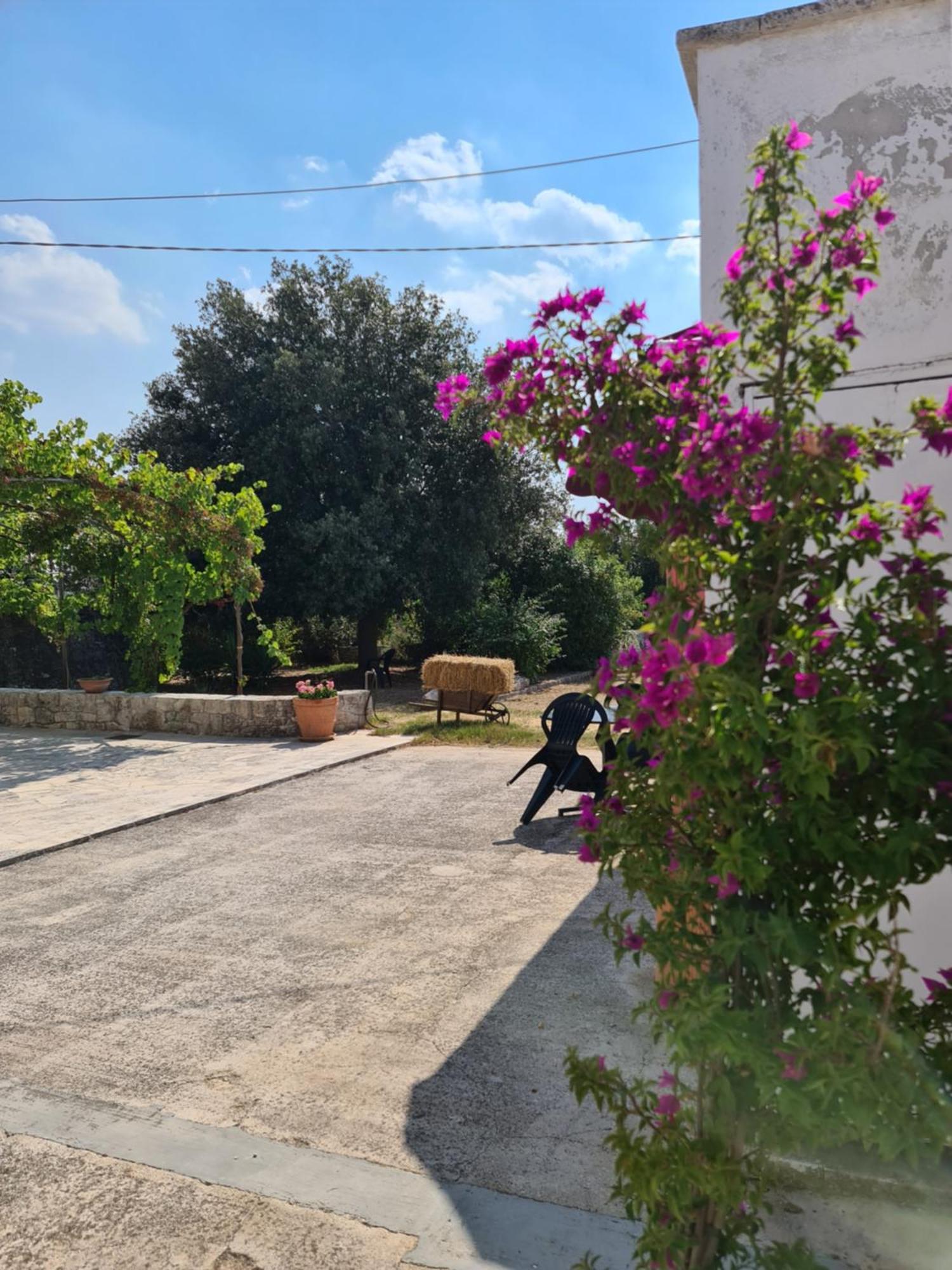Masseria Gianca Cisternino Esterno foto
