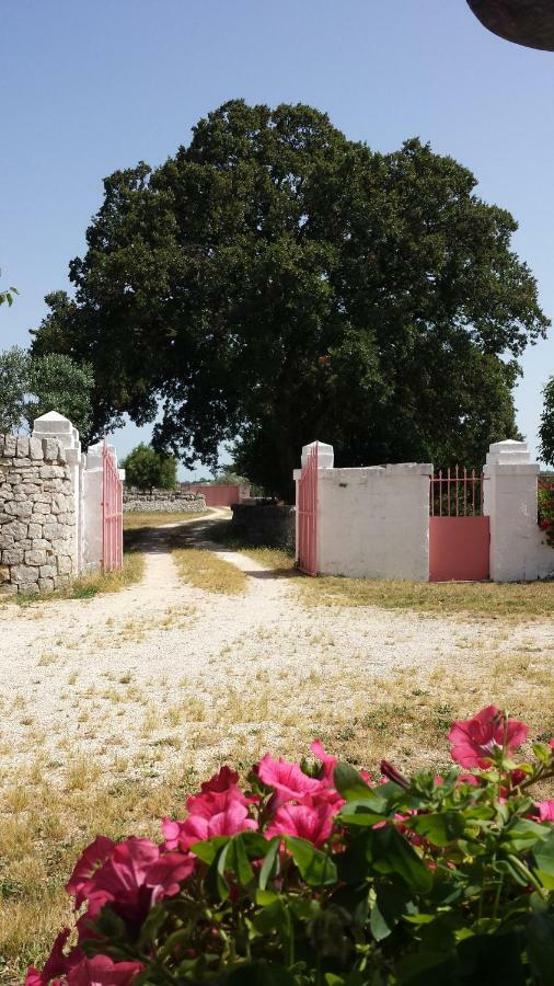 Masseria Gianca Cisternino Esterno foto