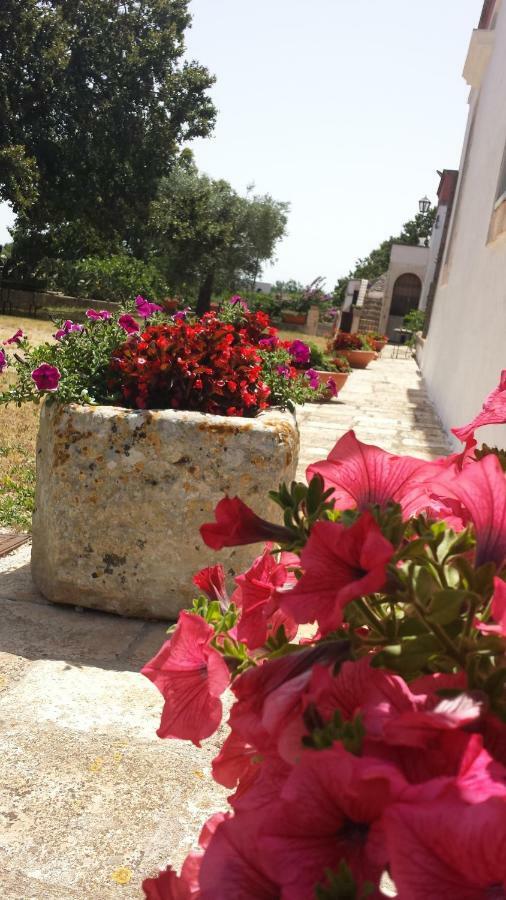 Masseria Gianca Cisternino Esterno foto