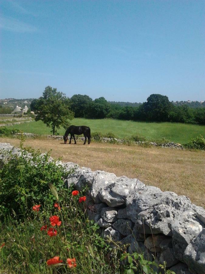 Masseria Gianca Cisternino Esterno foto
