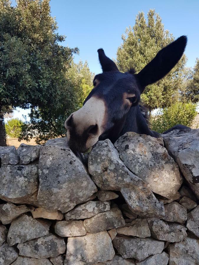 Masseria Gianca Cisternino Esterno foto